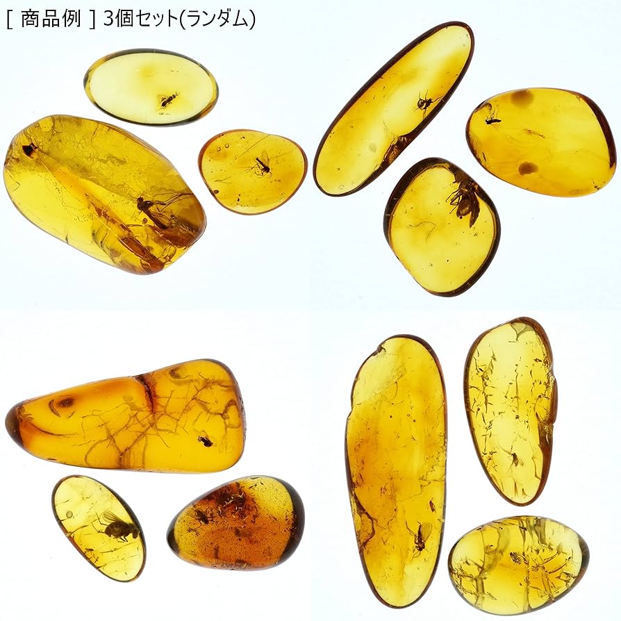 Amazon | [N2 stone Natural] 天然化石 虫入り琥珀 (アンバー